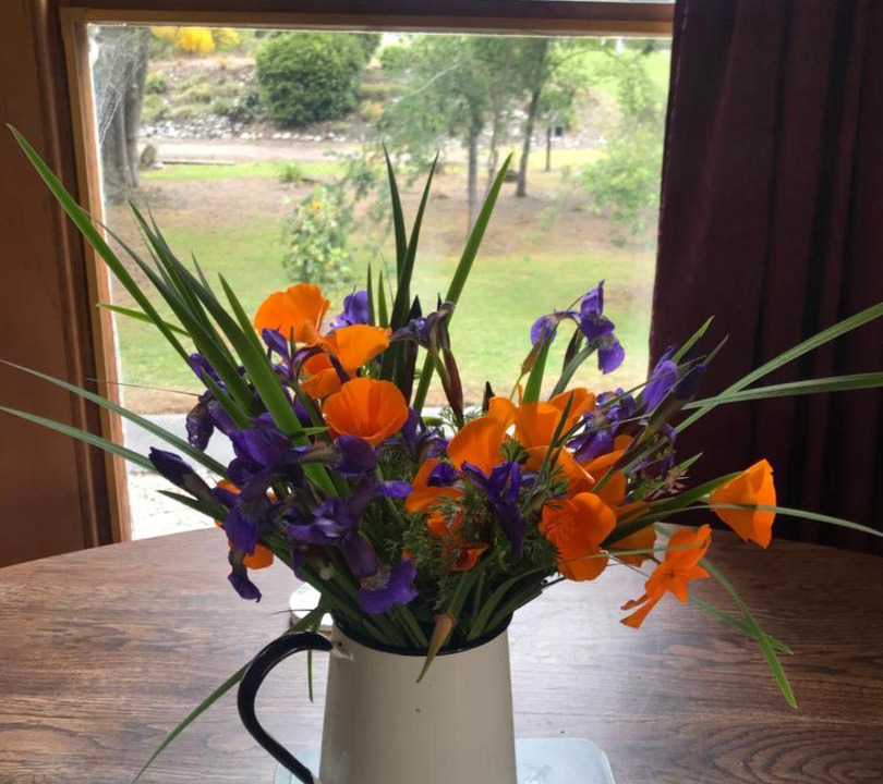 Photo of Others in Reefton