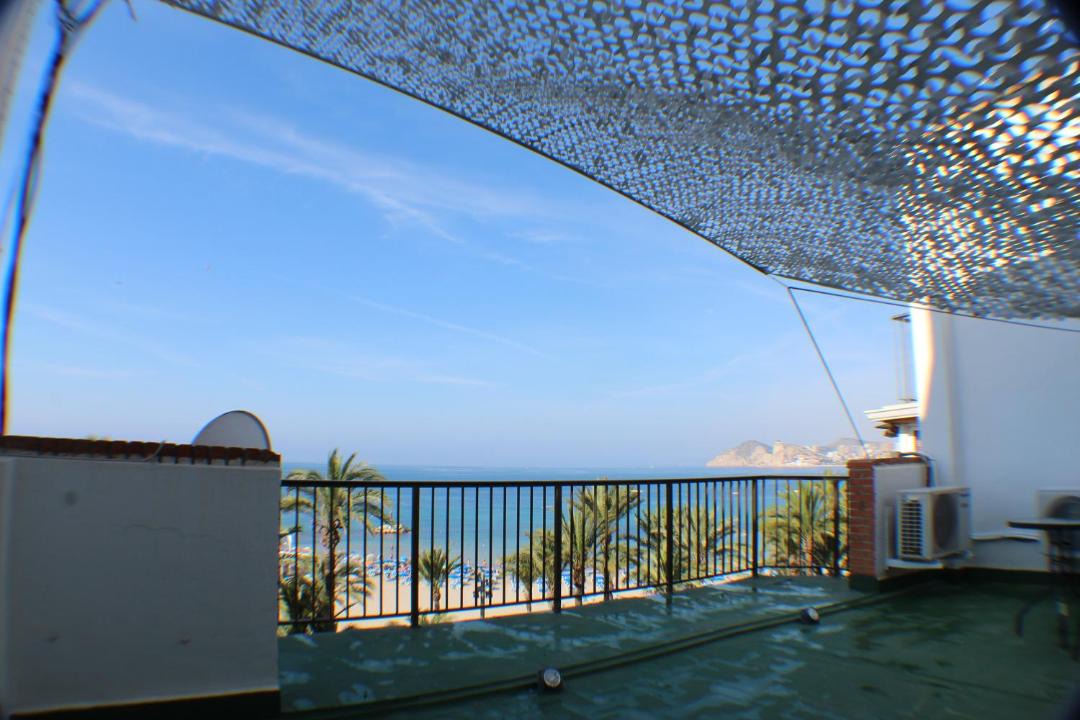 Photo of Others in Benidorm Centro