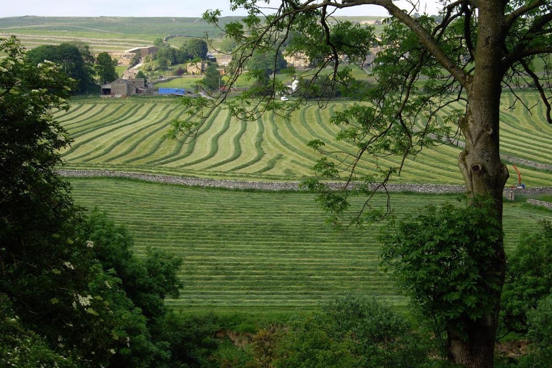 Photo of Others in Threshfield