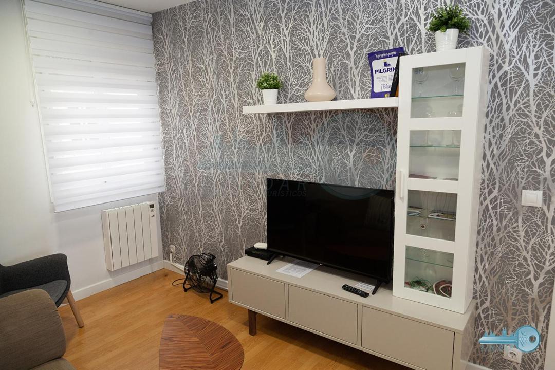 Photo of Livingroom in Logrono City Centre
