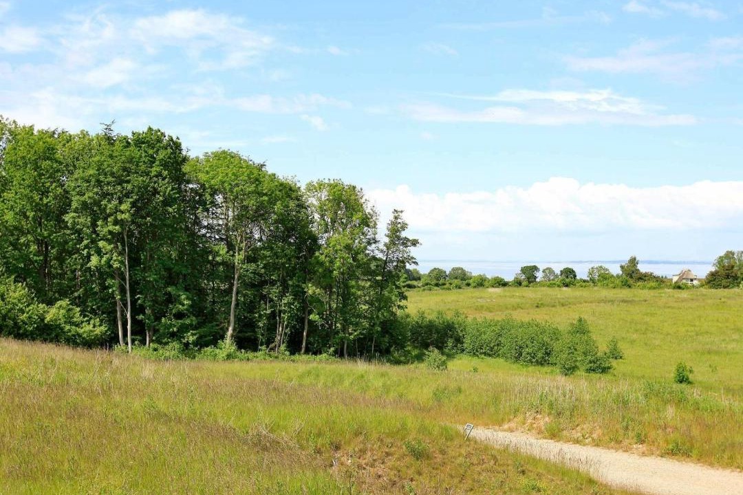 Photo of Outdoor in Kettingskov