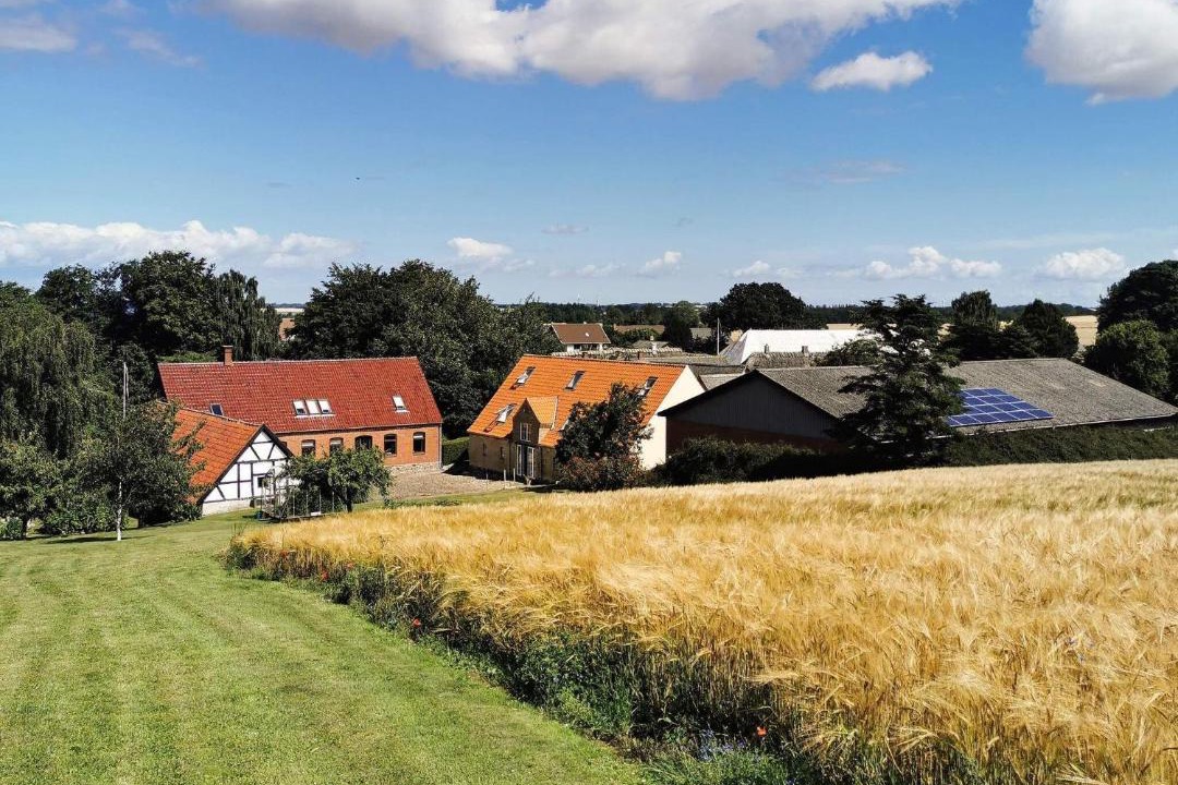 Photo of Buildings in Kerteminde