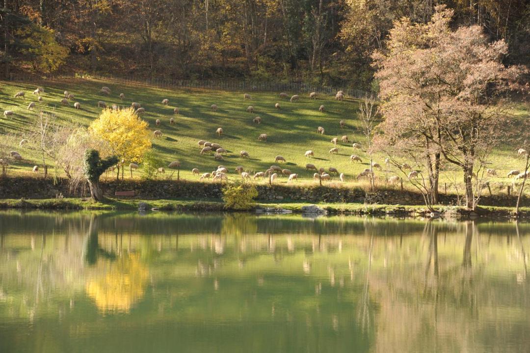 Photo of Others in Le Lauzet-Ubaye
