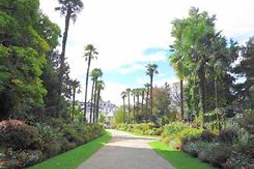Photo of Outdoor in Tarbes