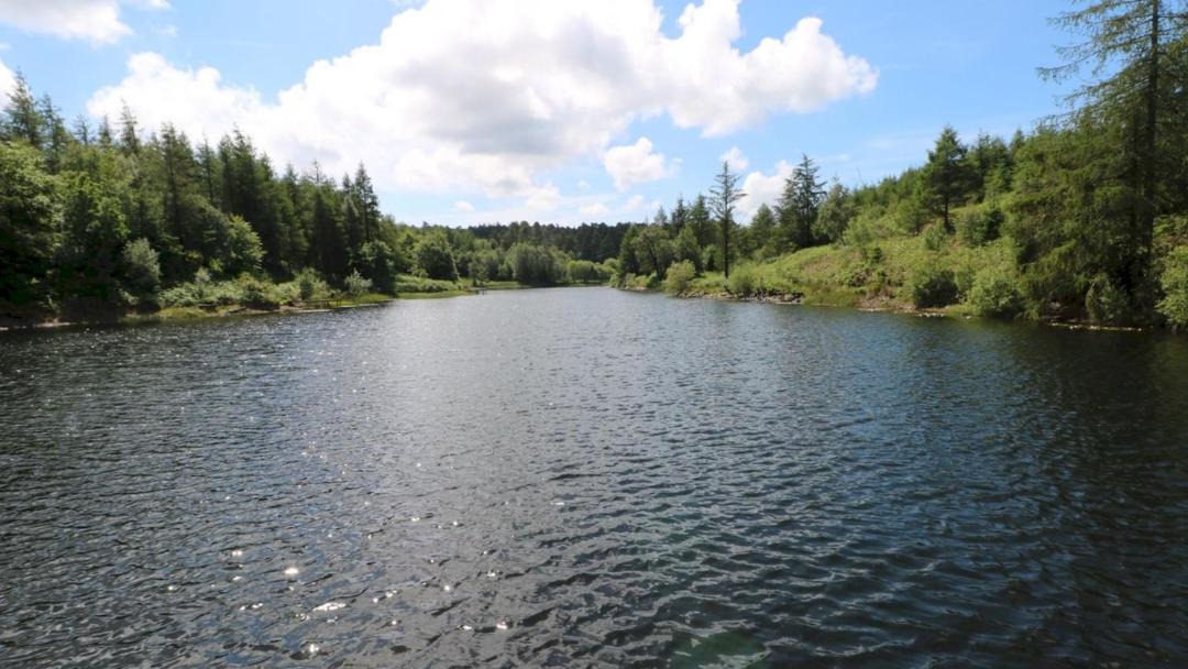 Photo of Outdoor in Graythwaite