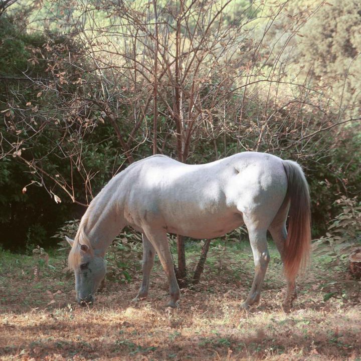Photo of Outdoor in Arbucies