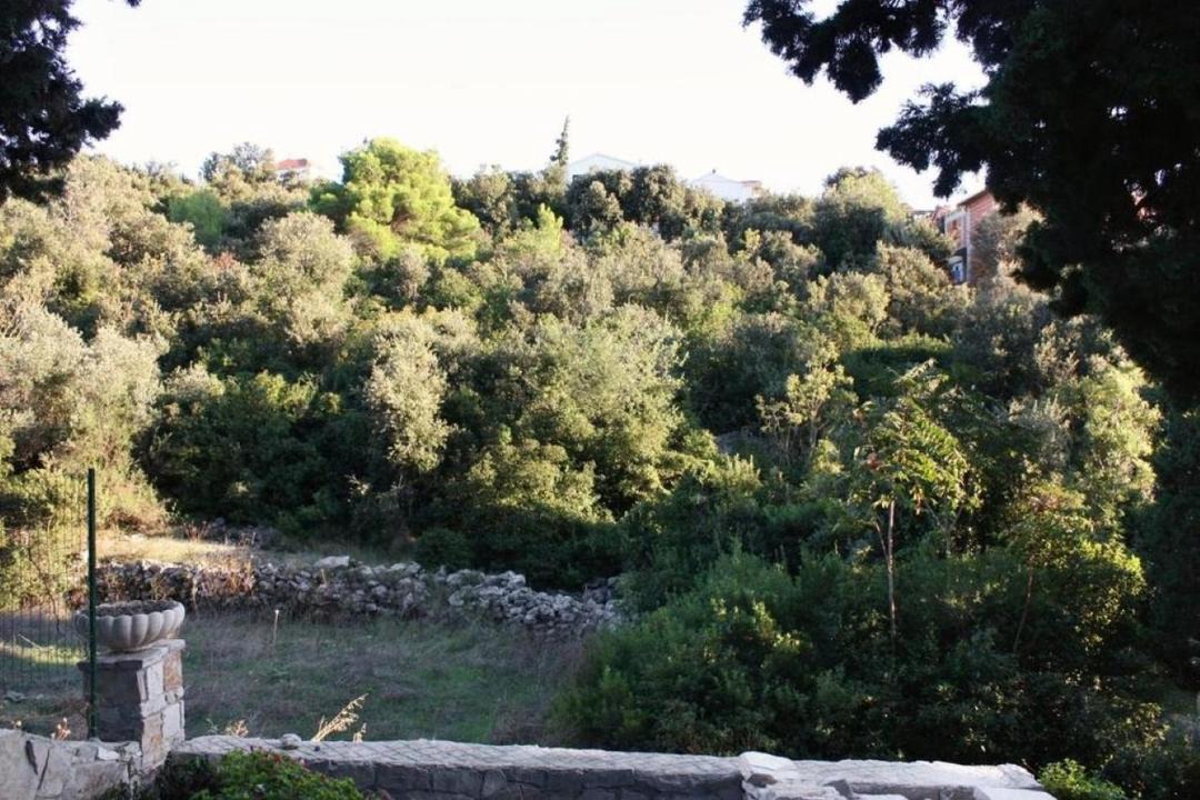 Photo of Outdoor in Maslinica