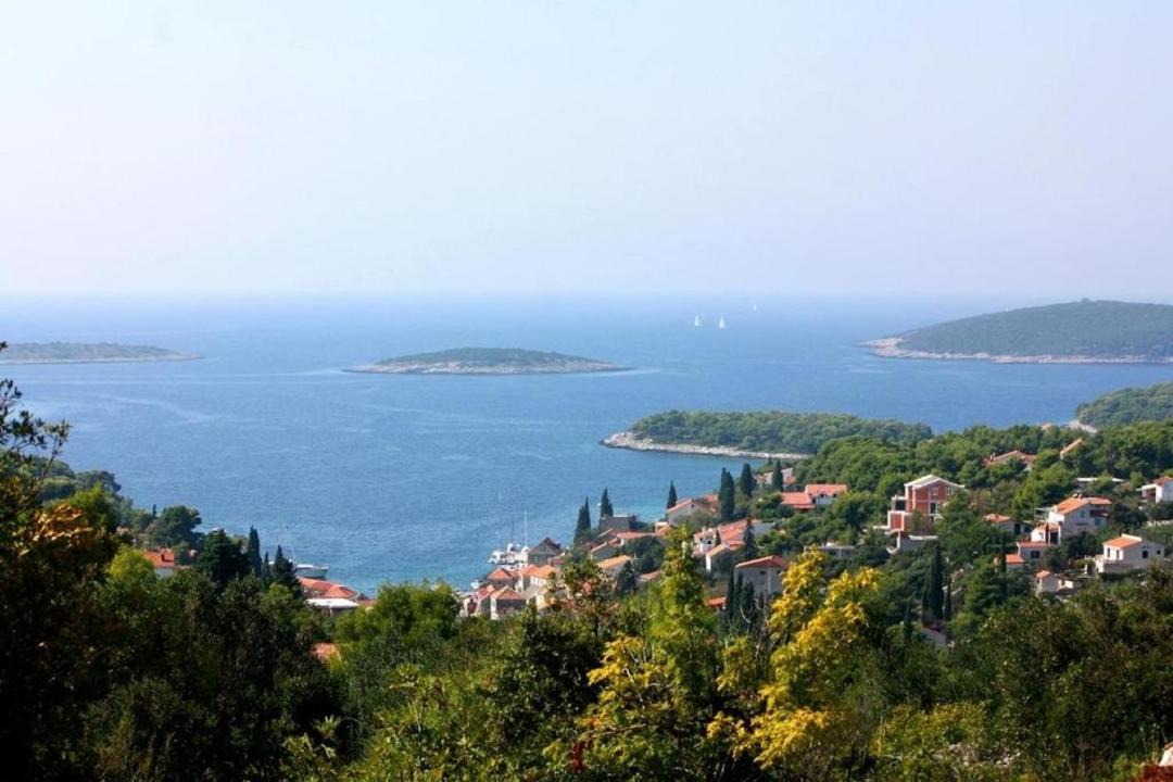 Photo of Outdoor in Maslinica