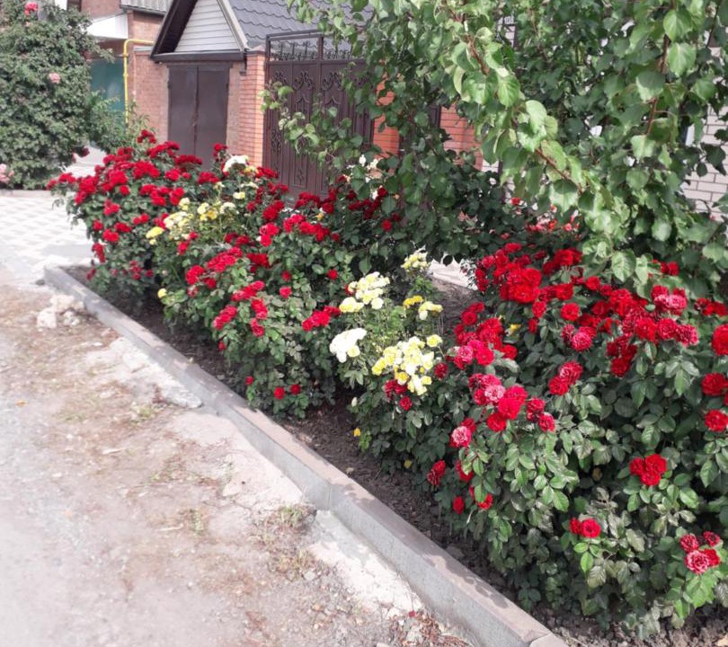 Photo of Buildings in Taganrog