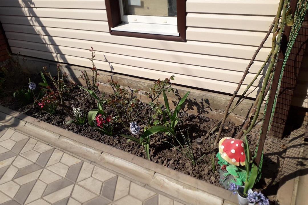 Photo of Others in Taganrog