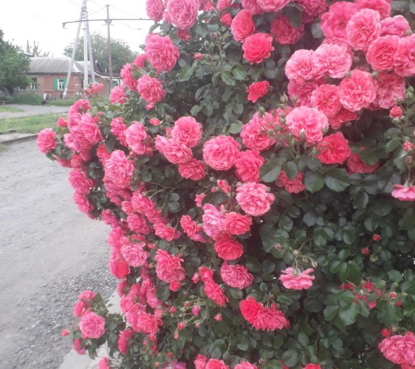 Photo of Others in Taganrog