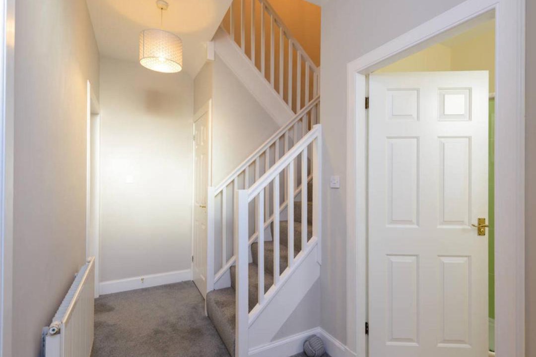 Photo of Others in North Berwick