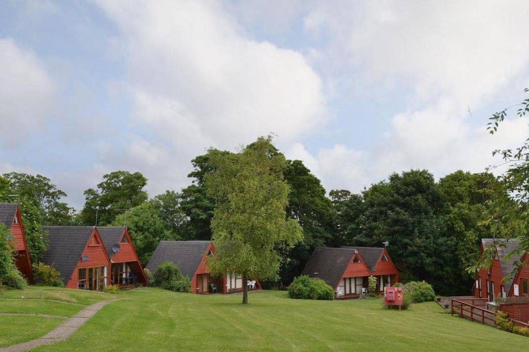 Photo of Others in Martin