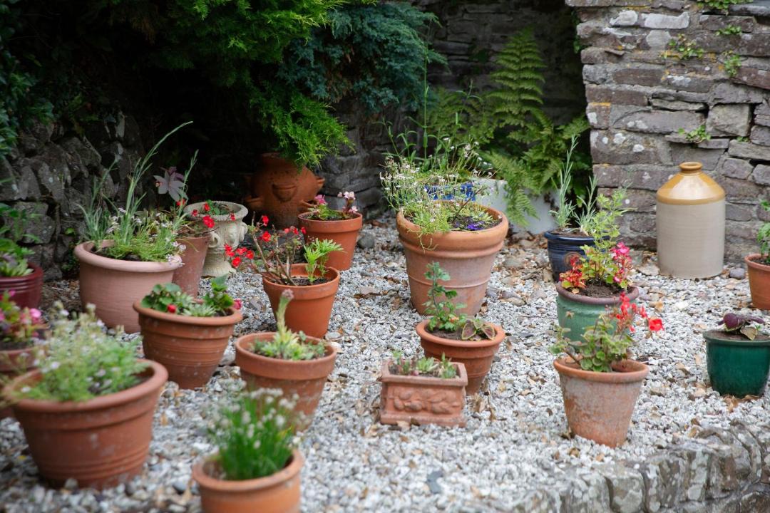 Photo of Others in Bude