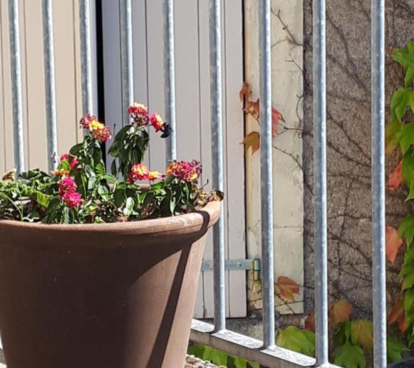 Photo of Others in La Fosse-de-Tigne