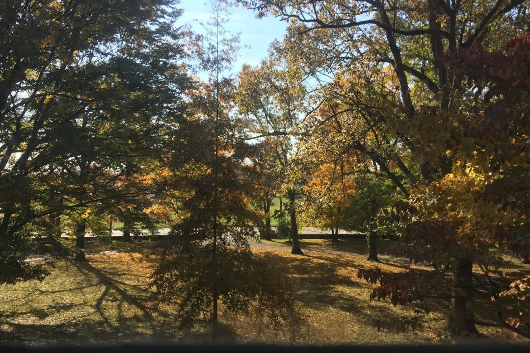 Photo of Outdoor in Versailles