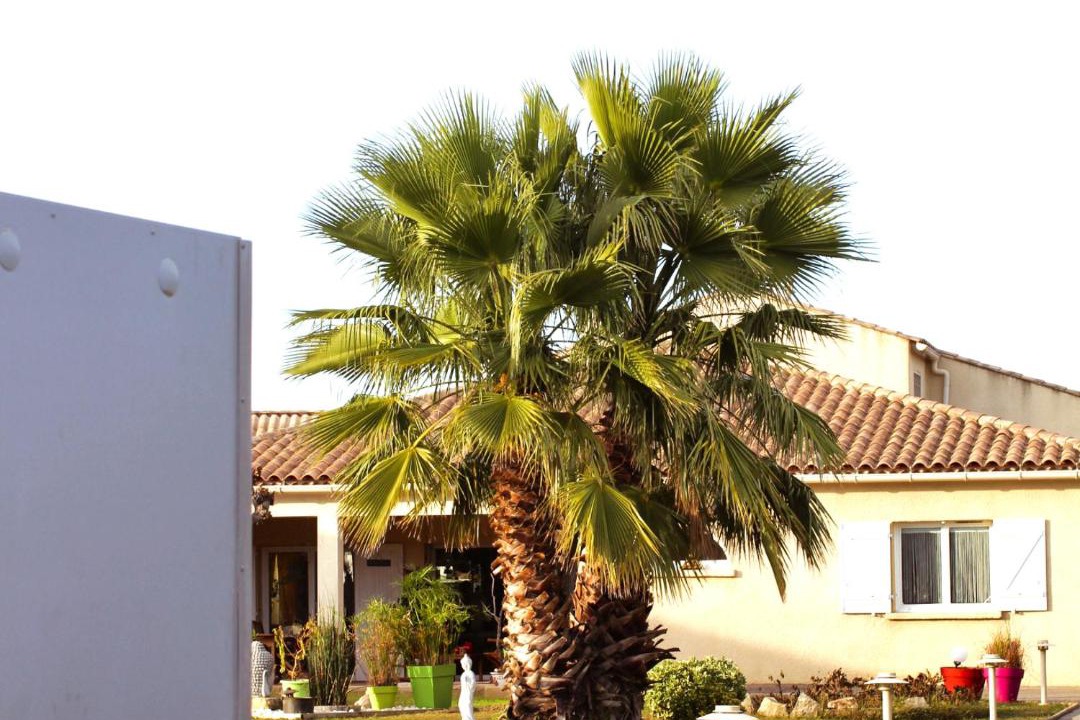 Photo of Others in Saint-Aunes