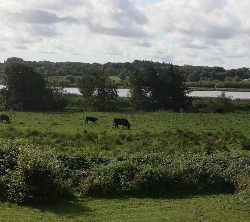 Photo of Others in Brabrand