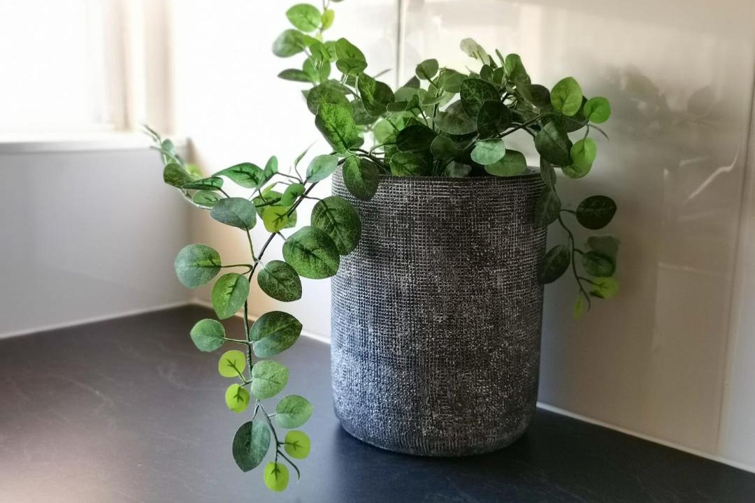 Photo of Others in North Ward