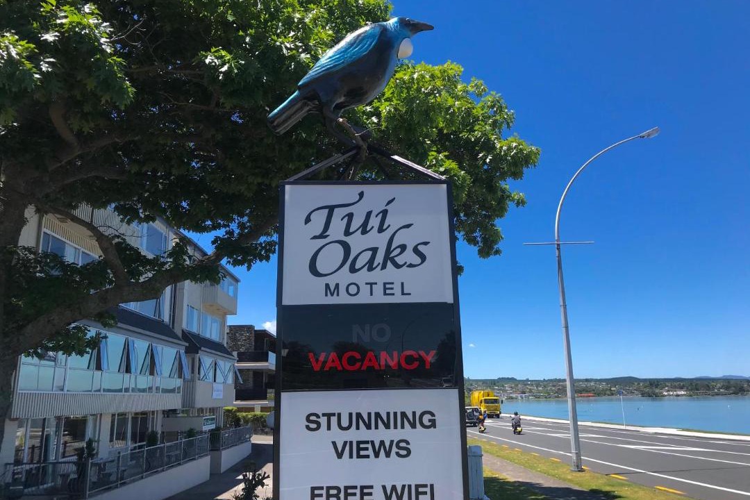 Photo of Others in Taupo