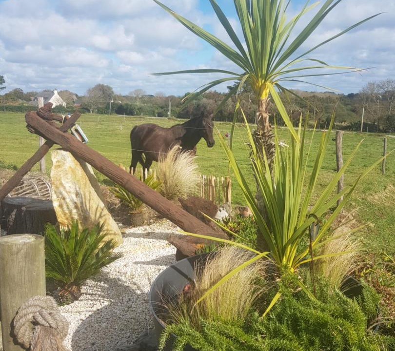 Photo of Others in Roscanvel