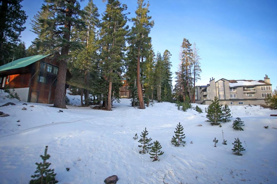 Photo of Others in Mammoth Lakes