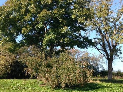 Photo of Outdoor in Eclaibes