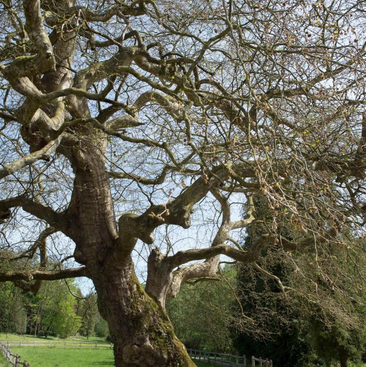 Photo of Others in Colmey