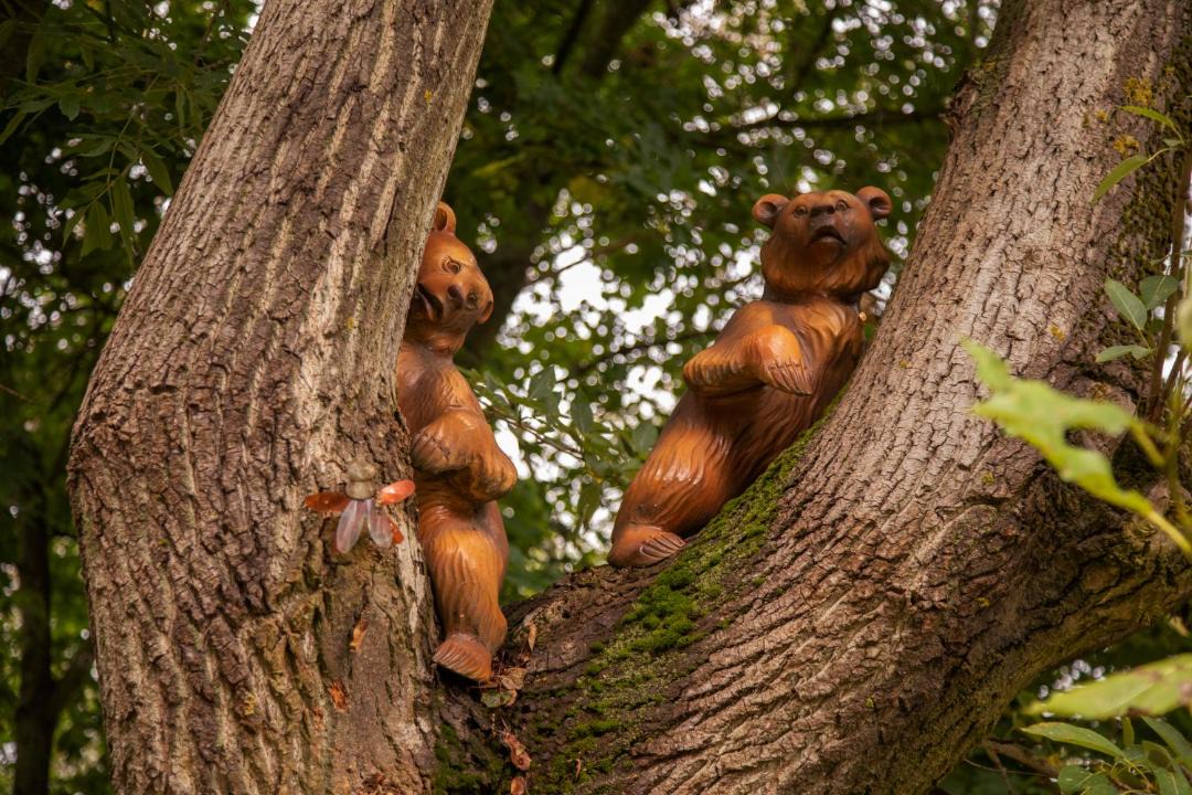 Photo of Others in Bo