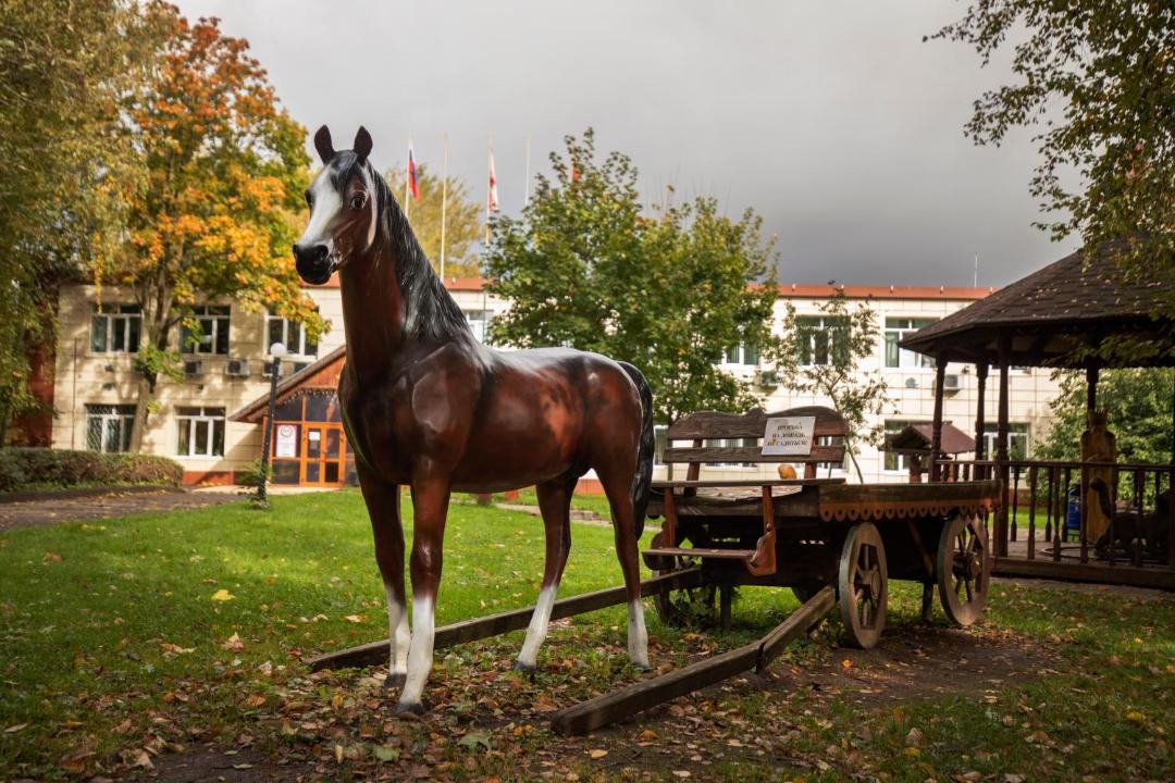 Photo of Others in Bo