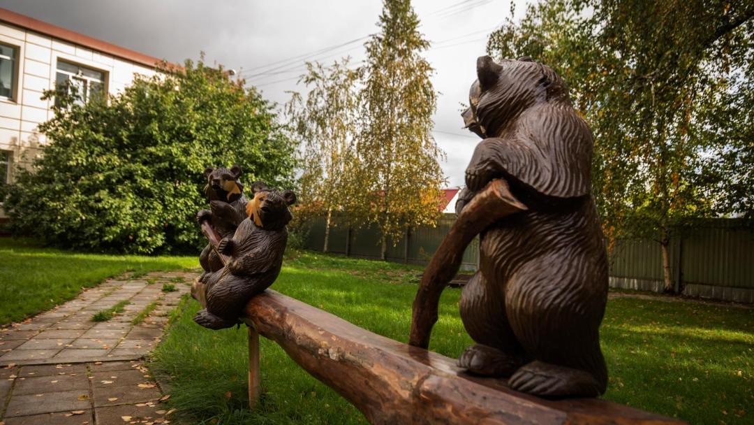 Photo of Human In Picture in Bo