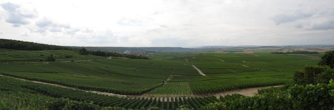 Photo of Others in Hermonville