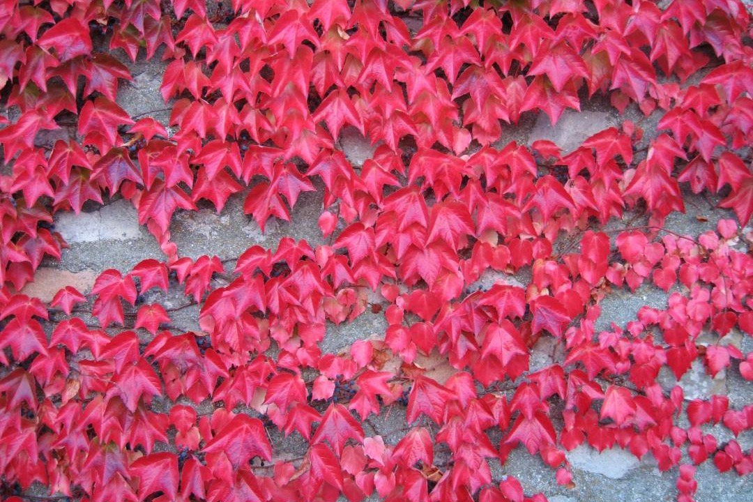 Photo of Others in Hermonville