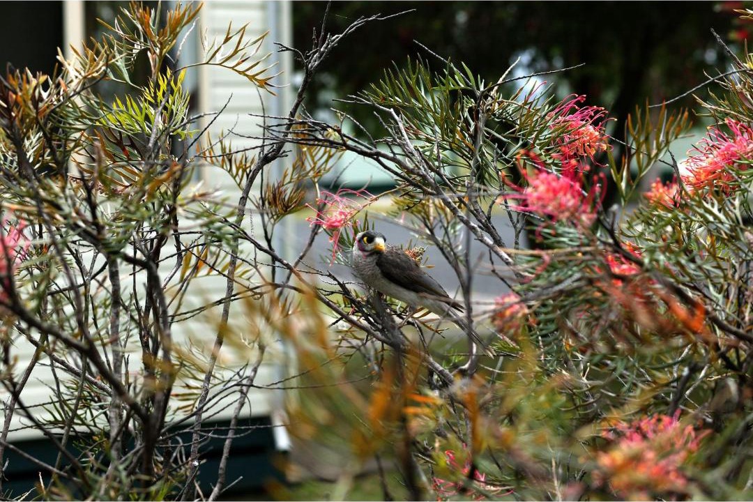 Photo of Others in Casino