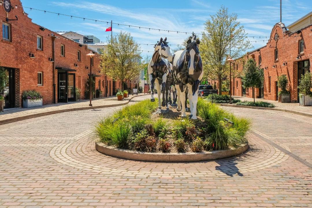 Photo of Others in Fort Worth Cultural District