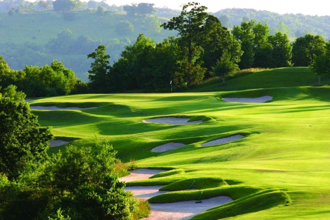 Photo of Outdoor in Table Rock