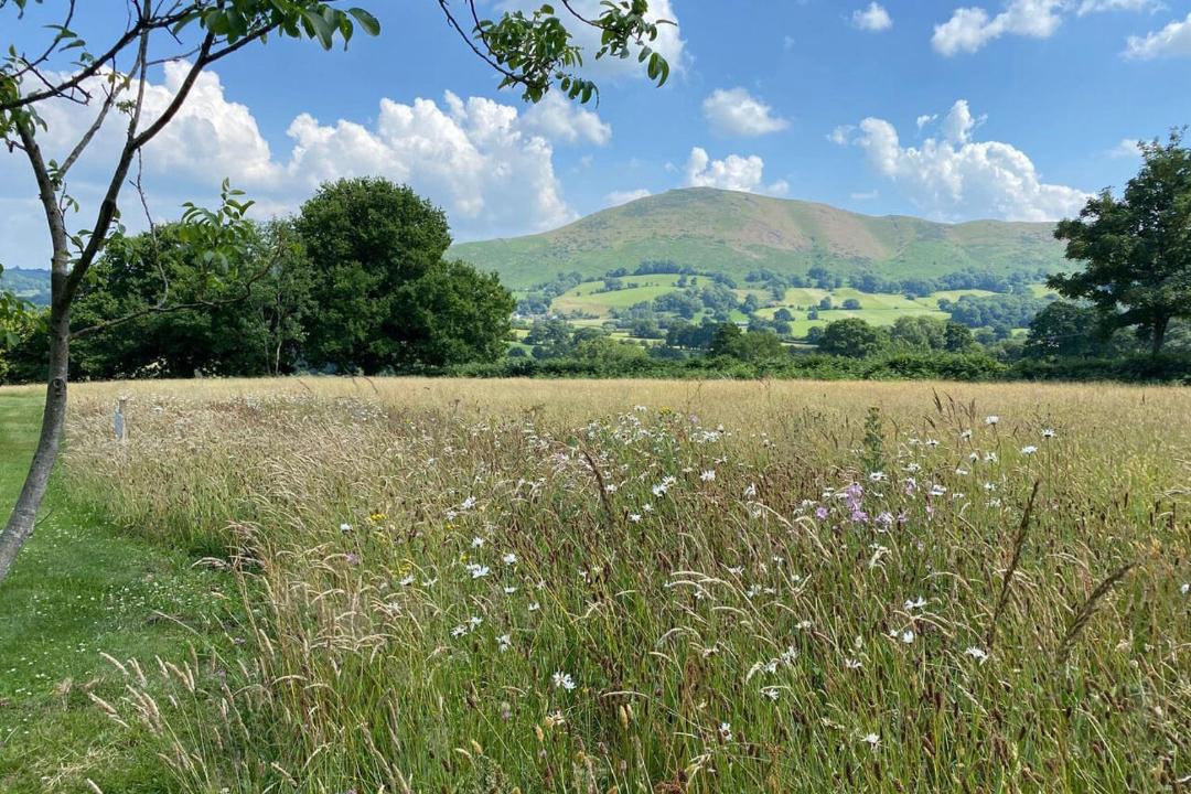 Photo of Others in All Stretton