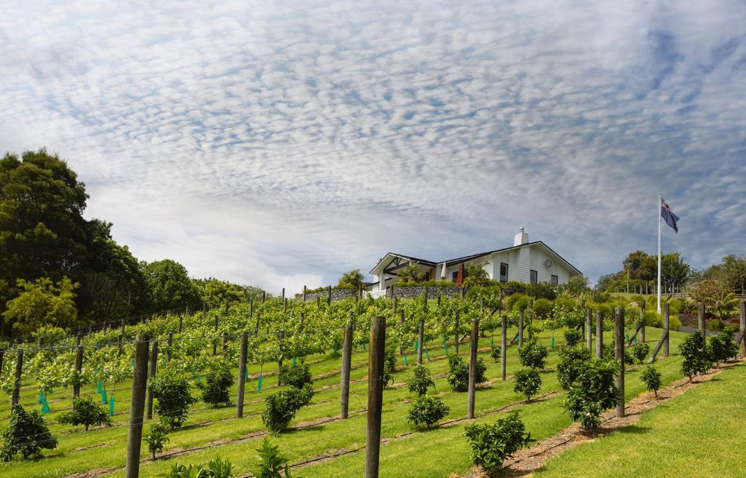 Photo of Others in Kerikeri