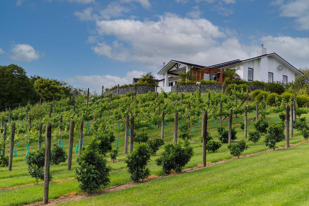 Photo of Buildings in Kerikeri