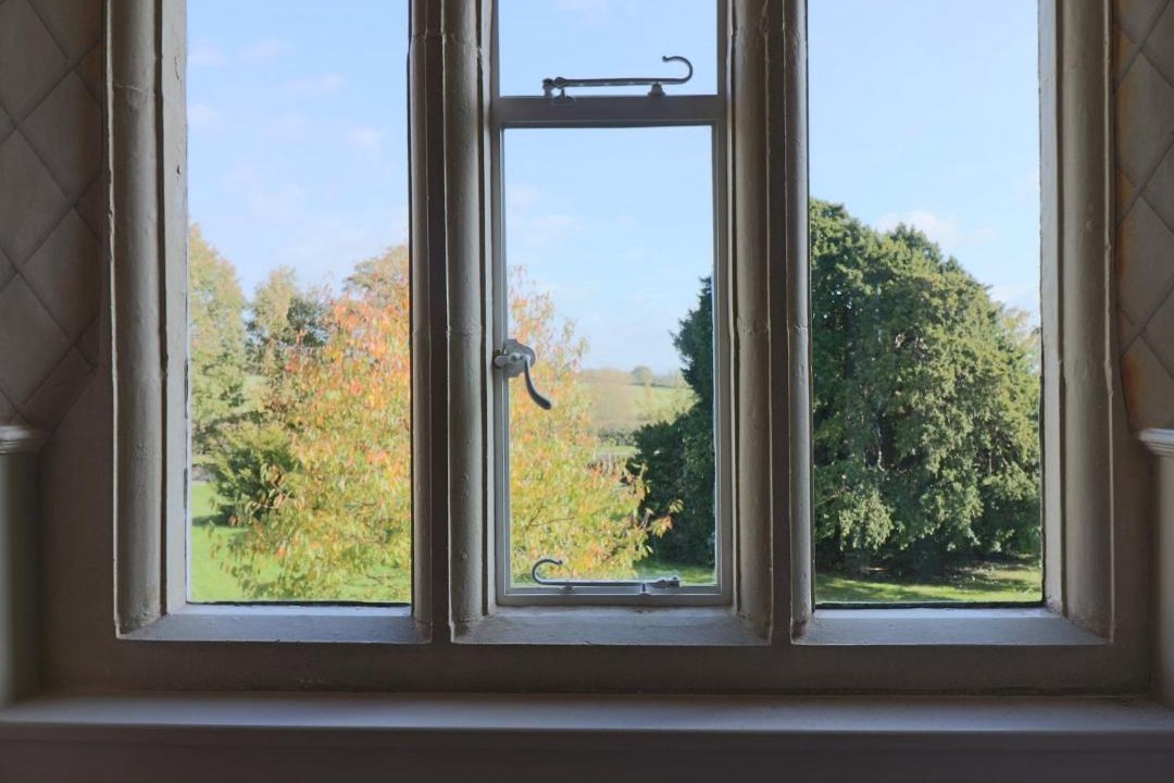 Photo of Others in Olveston