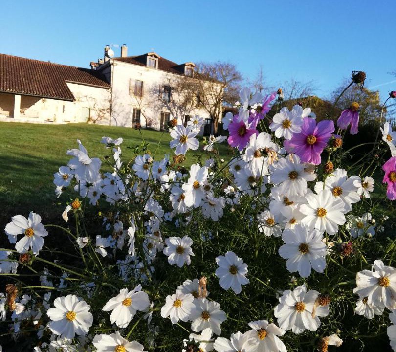 Photo of Others in Brantome-en-Perigord