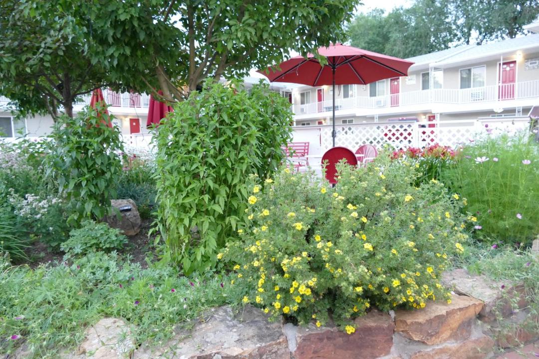Photo of Others in Manitou Springs