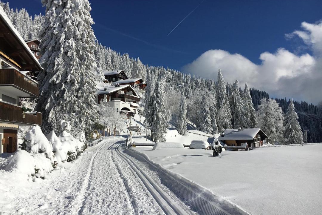 Photo of Others in Rigi Kaltbad