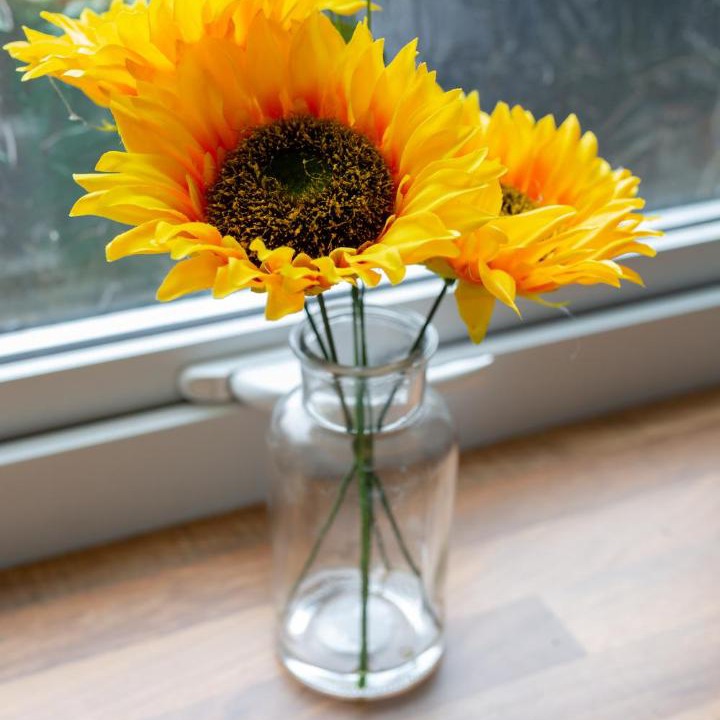 Photo of Others in Huddersfield