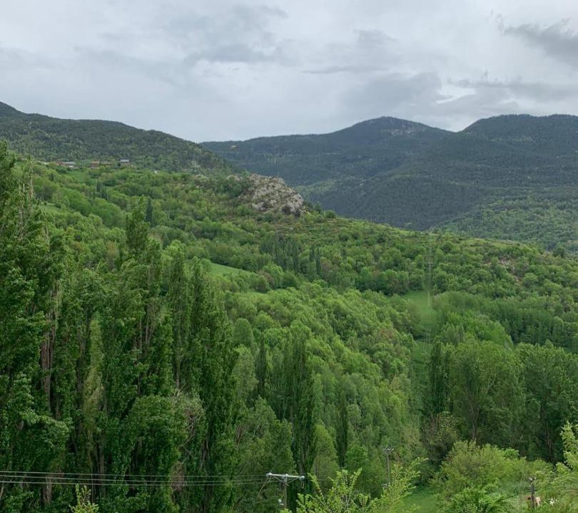 Photo of Outdoor in Burg