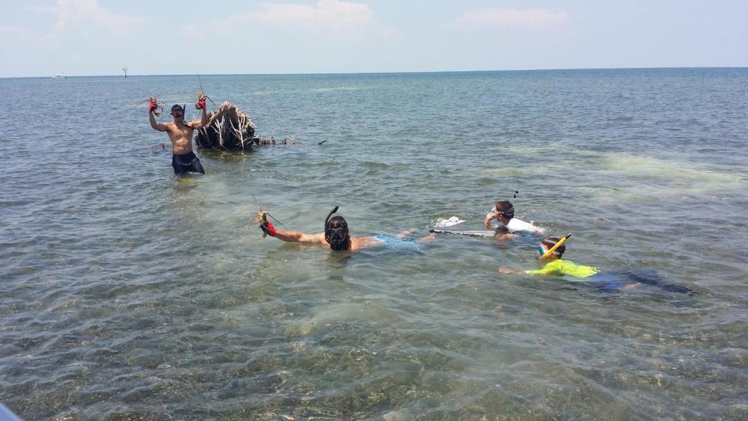 Photo of Others in Key Largo