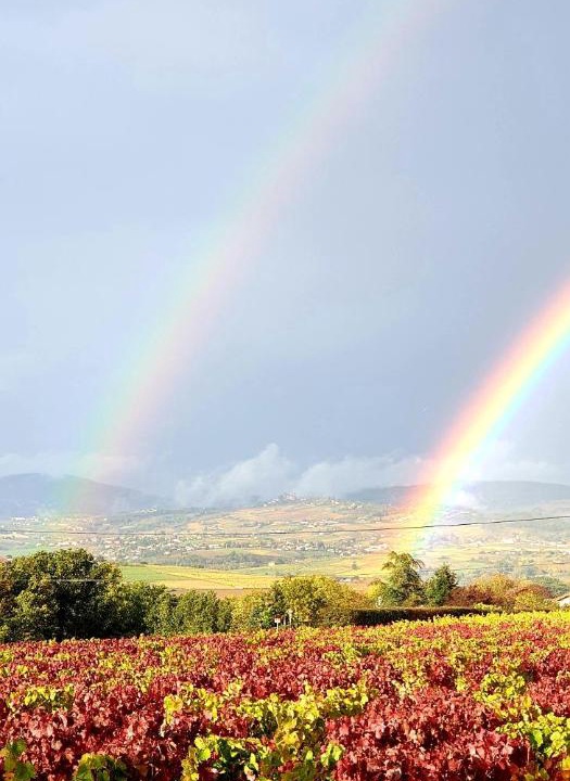 Photo of Others in Bully