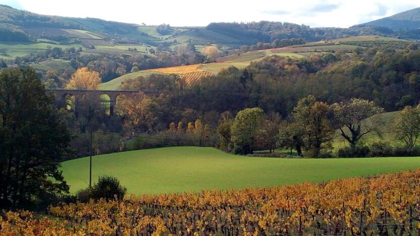 Photo of Others in Bully