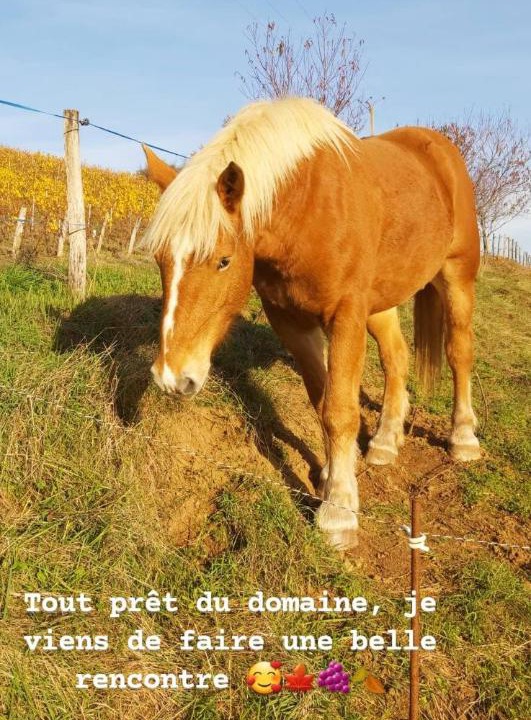 Photo of Others in Bully