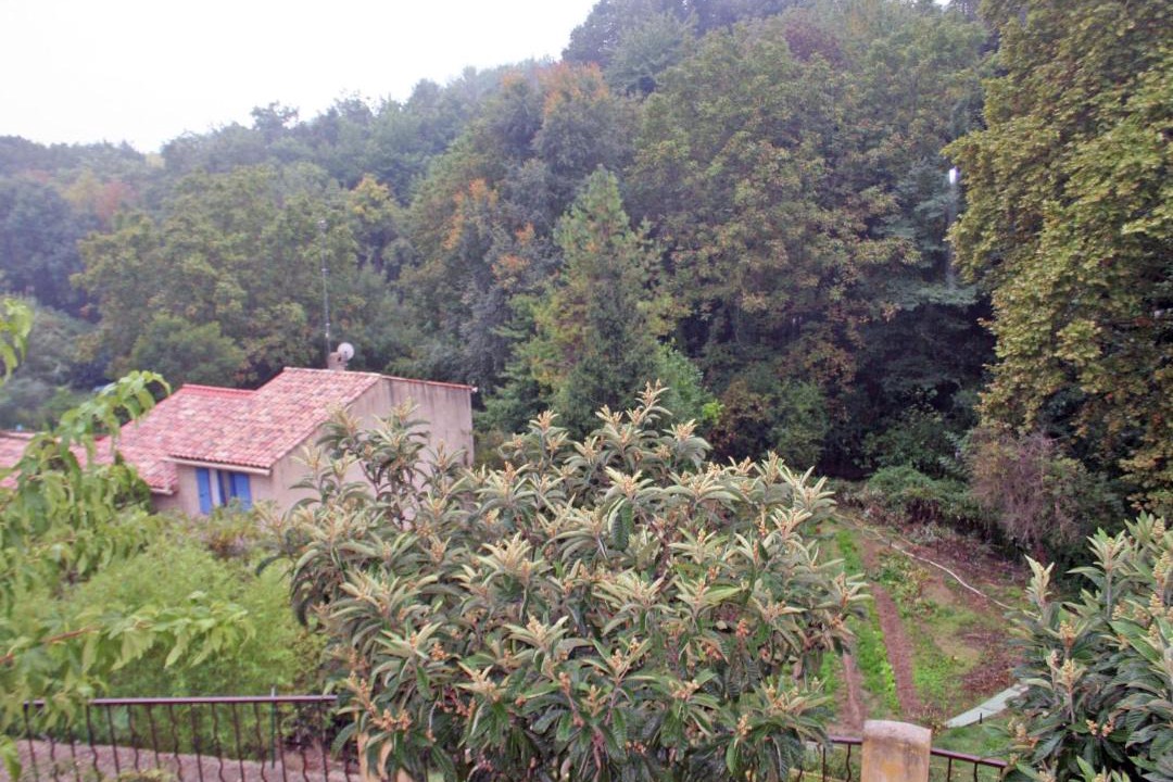 Photo of Outdoor in Cotignac